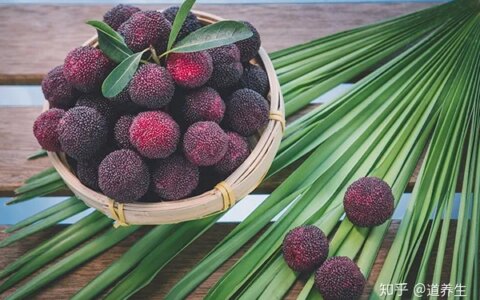 吃杨梅有什么好处（吃杨梅有什么好处?一次能多吃吗?）