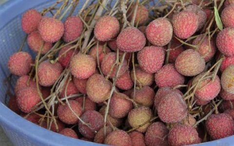 想要身体长得壮，让孩子多吃四种食物，补充营养，越来越健康（孩子长高个子营养食谱）