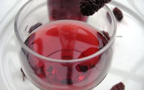 桑葚有什么好处?（男人吃桑葚有什么好处）