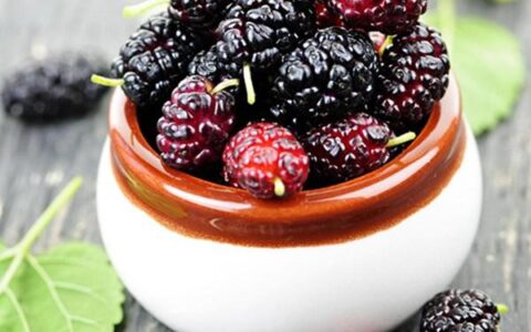 桑葚好吃，并非百无禁忌（桑葚是什么口感）