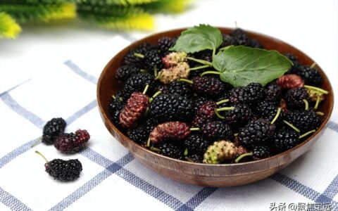 桑葚上市了，你知道桑葚的好处吗？这几类人最适合吃桑葚！（桑葚有什么作用与功效）