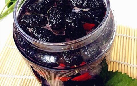 桑葚泡酒喝的功效与作用（桑葚泡酒喝的功效与作用禁忌是什么）