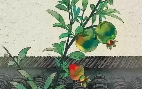 48个搞笑脑筋急转弯，你能答对多少？-经典搞笑脑筋急转弯3600题