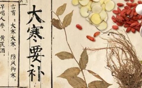 杨建宇二十四节气养生歌赏析（二） ——大寒养生（二十四节气养生经全文）