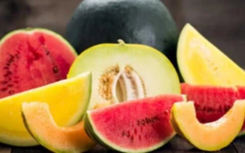 什么瓜不能吃脑筋急转弯-什么瓜不可以吃 脑筋急转弯