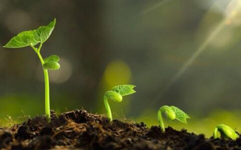 二十四节气的名称、由来、日期及含义（二十四节气的名称和意义图片简笔画）