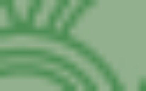 不同疾病人群吃粽子的注意事项-吃粽子吗?