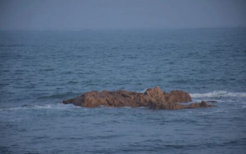 山鸟与鱼不同路-山鸟与鱼不同路,再见容易再见难