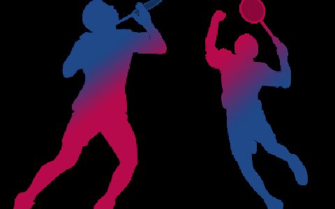 荆门市青少年活动中心羽毛球公益培训夏令营招生简章-荆门哪里有室内羽毛球馆