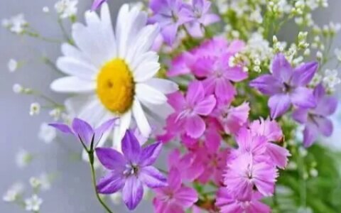 摩羯座有哪些弱点，容易给自己“招黑”？擅长克制，不轻易动情-摩羯座最害怕什么虫子