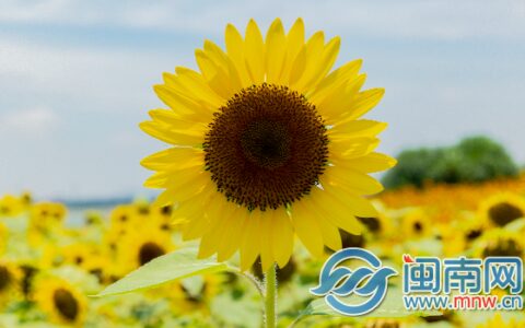 六一妈妈对孩子的祝福 2020儿童节妈妈对宝宝的成长寄语-六一儿童节妈妈对孩子的祝福语简短