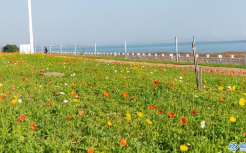 六一给孩子的祝福寄语 2022最新六一儿童节家长寄语送给孩子的六一祝福语-六一儿童节给孩子美好的寄语