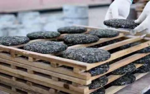 普洱生茶与普洱熟茶有什么区别？（普洱生茶和普洱熟茶各有什么作用）