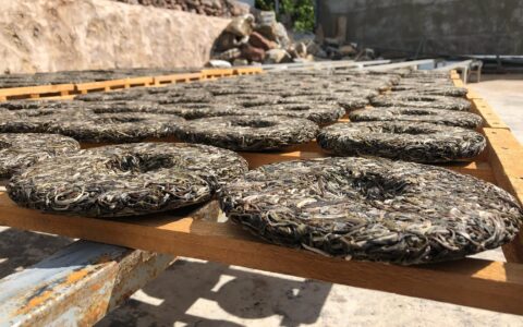 ‖普洱茶生茶和熟茶的区别，别在傻傻分不清楚了（普洱茶的生茶和熟茶有什么区别）