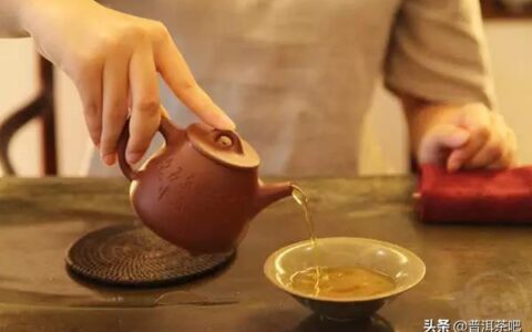 普洱生茶与熟茶之辨（普洱生茶和熟茶的区别是什么?弄懂这4点就够了……）