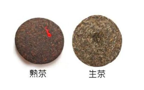 生普洱和熟普洱有什么区别？3招教你鉴别（什么茶适合女性长期饮用）