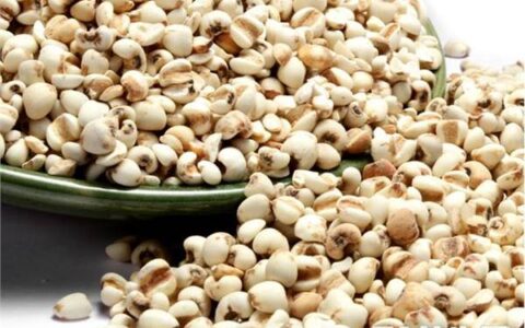 薏米炒熟和生的有什么区别，搭配什么吃可以达到最好的祛湿效果？（炒薏米 生薏米）