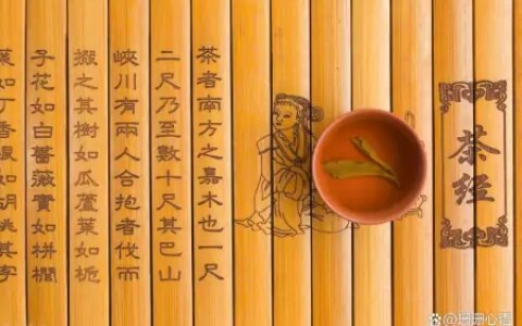 熟茶和生茶口味有什么区别？（熟茶和生茶有啥区别）