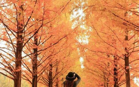 双子座的特点，你被说中了吗？-双子座的10个特点