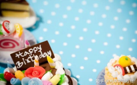 特别暖心的生日祝福语（精选70句）（一句暖心的生日祝福短语图片）