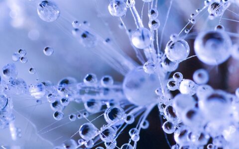 小雪养生祝福语句子说说（小雪养生原则）