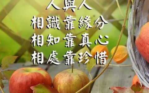 每日群发早上好温馨漂亮祝福语美图，早安带字带祝福语图（群发早上好怎么发）