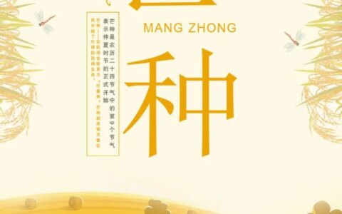 二十四节气–芒种（二十四节气芒种教案幼儿园）