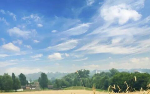 二十四节气:芒种（二十四节气芒种手抄报文字）