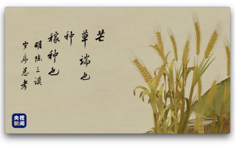 人间好时节丨芒种（人间好时节阅读）