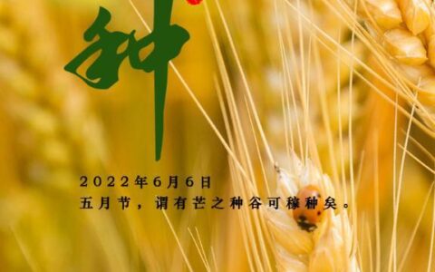 芒种芒种，忙收忙种（芒种芒种忙收忙种写的是夏天吗）