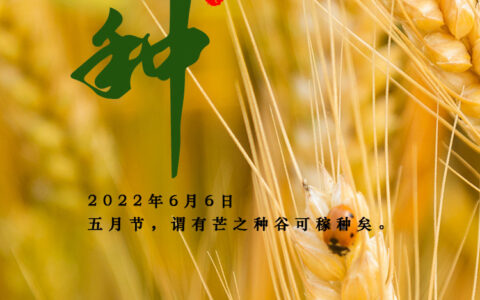 节令之美·芒种|芒种芒种  忙收忙种（芒种这个节气是什么意思）