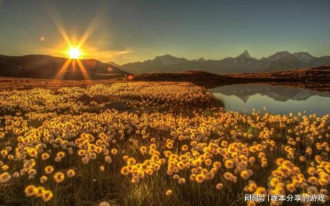 芒种节气的特点和风俗、养生知识！（芒种的节气风俗）