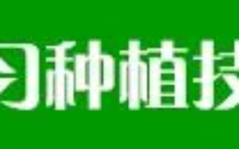 怎样杀灭芦苇草、牛筋草、白茅恶性杂草？一招见效（杀芦苇最好的除草剂是什么药）
