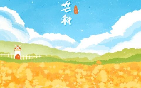 “斗指巳，为芒种”——芒种节气的由来及文化风俗（芒种美好寓意图片）