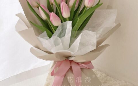 郁金香花语，5种颜色郁金香象征意义，郁金香适合送给谁？-郁金香每个颜色花语