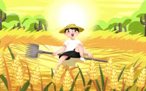 芒种｜“芒”中带甜，品尝夏日滋味（芒种秒懂）
