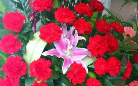 母亲节图片朋友圈说说配图 母亲节手抄报内容 赞美母亲的诗句大全（母亲节图片简单好画手抄报）