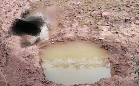 痛心！四川三姐弟在水坑溺亡，最大10岁最小3岁……