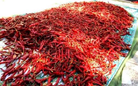 经常吃辣椒，对健康是好还是坏？很多人不清楚，早知早受益！（经常吃辣椒的危害）