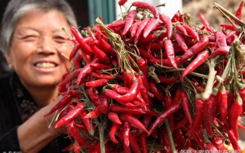 吃辣椒开胃又驱寒，但若是这些情况，医生一般不建议吃（吃辣抗寒吗）