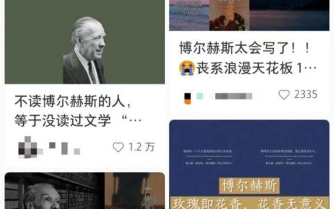 杀死一本书的，可能是它的金句-杀死书虫