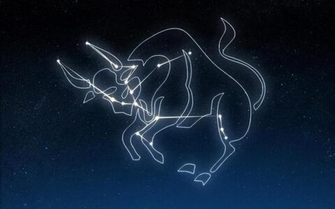 慢热又固执的金牛座为什么是很多人的良配呢？-金牛座的人浪漫吗