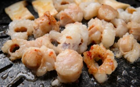 墨鱼的营养价值与功效（墨鱼的营养成分和功效与作用）