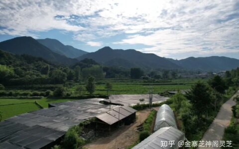 灵芝孢子粉4大功效，难怪很多人喜欢吃（灵芝孢子破壁的正确吃法一天吃几次?）