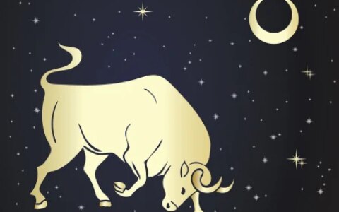 金牛座在爱情中是什么样子的？一向固执的金牛座居然可以如此绝情-金牛座在感情中