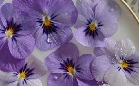 金牛座有哪些弱点，容易给自己招黑？明明很在乎，却宁愿错过-金牛座不为人知的黑暗面