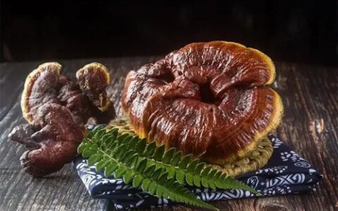 今日科普 | 灵芝孢子粉的七大功效（灵芝的功效与作用及食用方法,灵芝怎么吃）