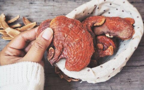 炒得火热的灵芝孢子粉，到底有什么功效？癌症病人可以吃吗？（灵芝菌炒肉）