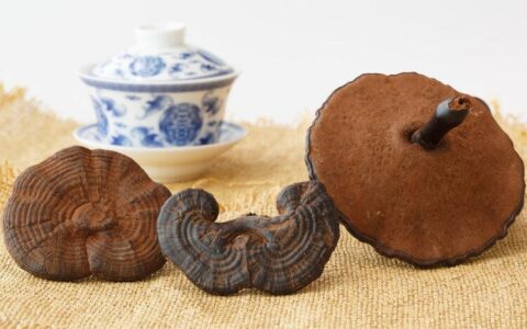 灵芝孢子粉，到底是养生好物还是慢性毒药？癌症患者可以吃吗？（灵芝孢子胃不好能不能吃）