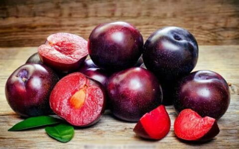 李子的功效与作用（李子的功效与作用与主治禁忌）